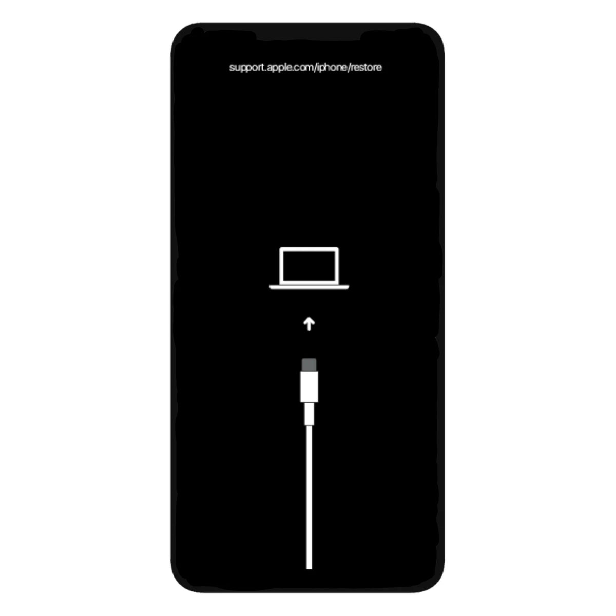 iPhone 13 Pro Max Software Recovery Repair