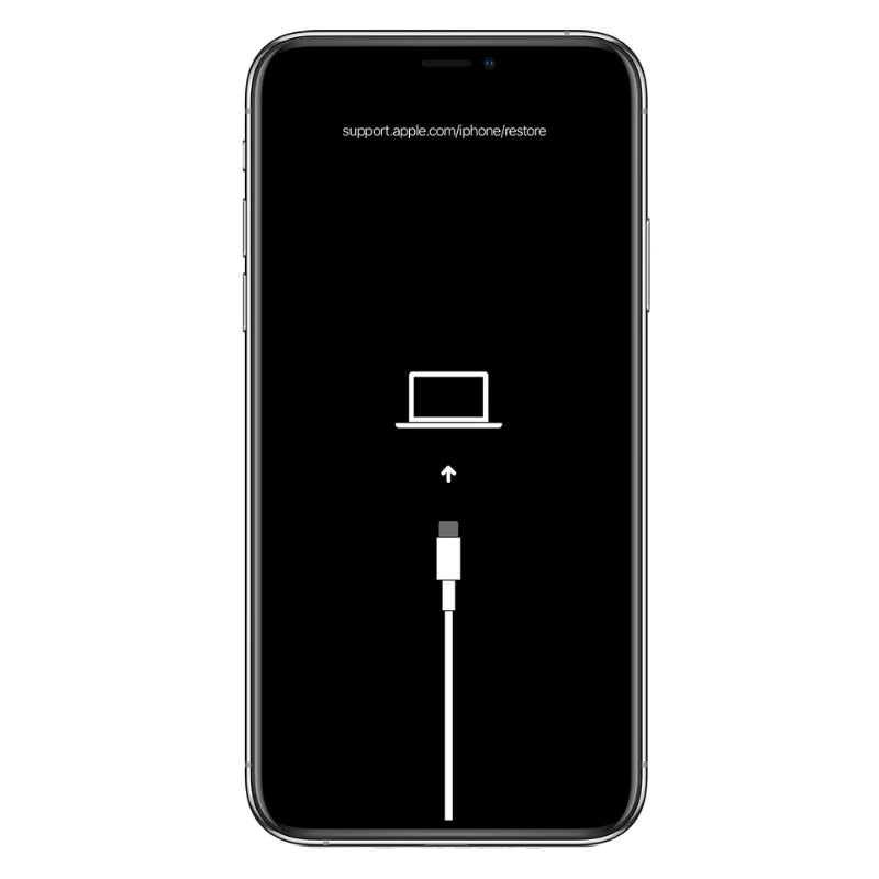 iPhone 11 Software Recovery Repair