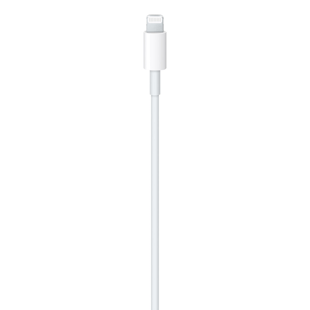 USB-C to Lightning Cable 