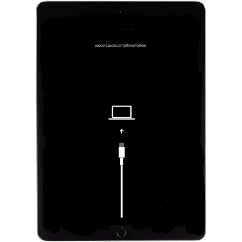 iPad 7 Software Recovery Service