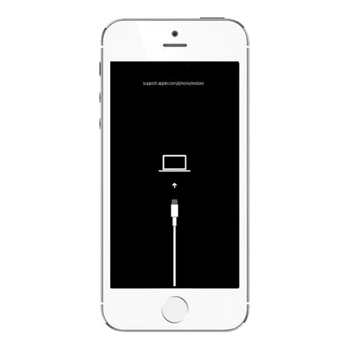 iPhone SE Software Recovery Repair